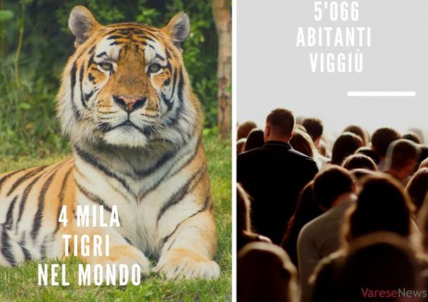 La fauna mondiale e il varesotto