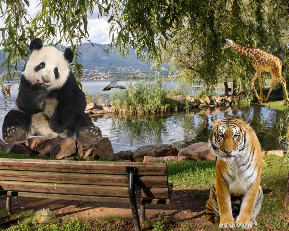 La fauna mondiale e il varesotto