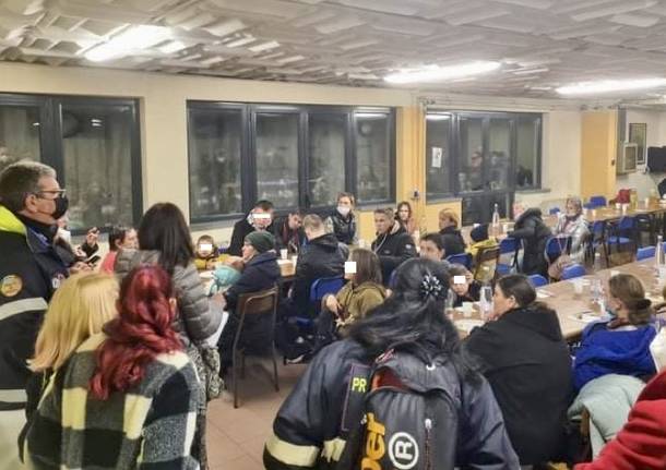 Samarate generica generiche