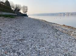 Siccità Lago Maggiore 