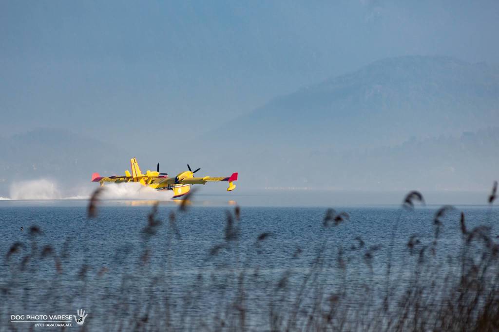 Canadair lago Maggiore 