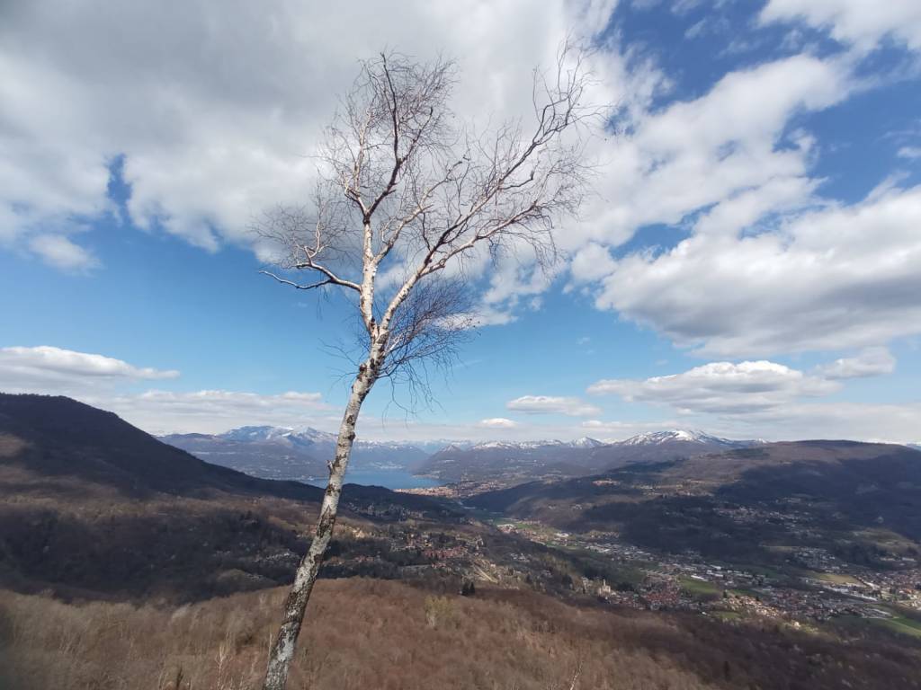 Escursione tra Duno e San Michele