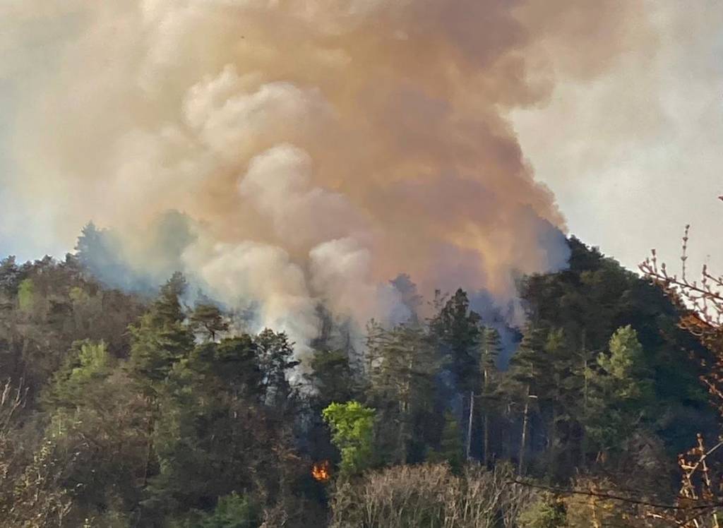 incendio san quirico