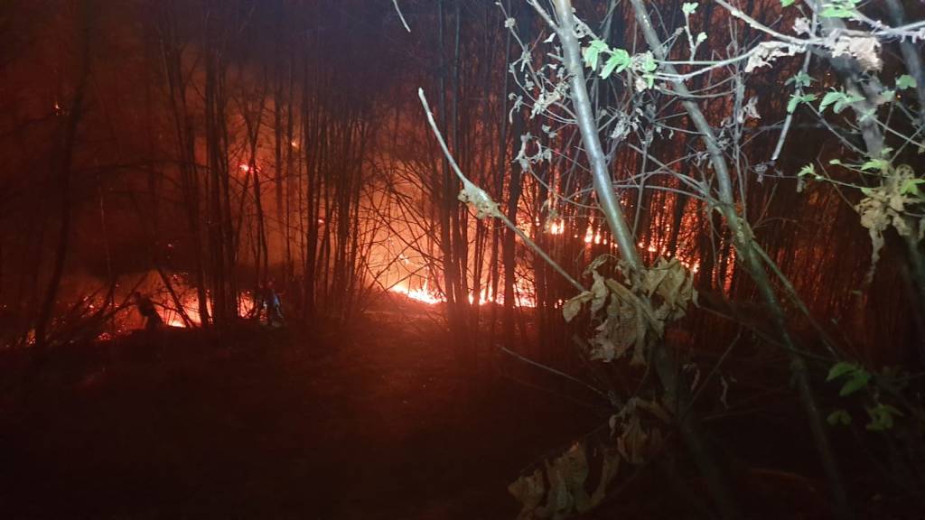 incendio san quirico
