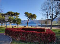 Lo splendido boschetto di Germignaga foto di Marzia Malesani