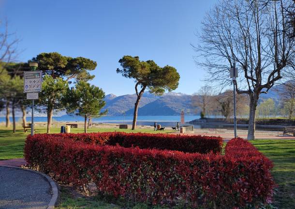 Lo splendido boschetto di Germignaga foto di Marzia Malesani