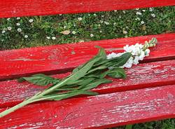 Rescaldina ricorda Carol Maltesi