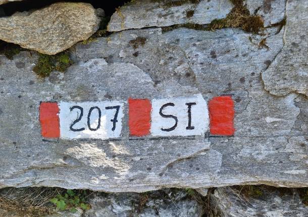 Va in giro, tappa 4 da Pradecolo a Luino