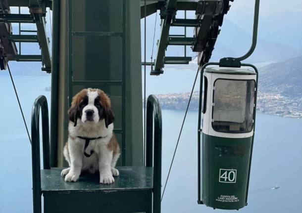 Zeus Funicolare del Lago Maggiore