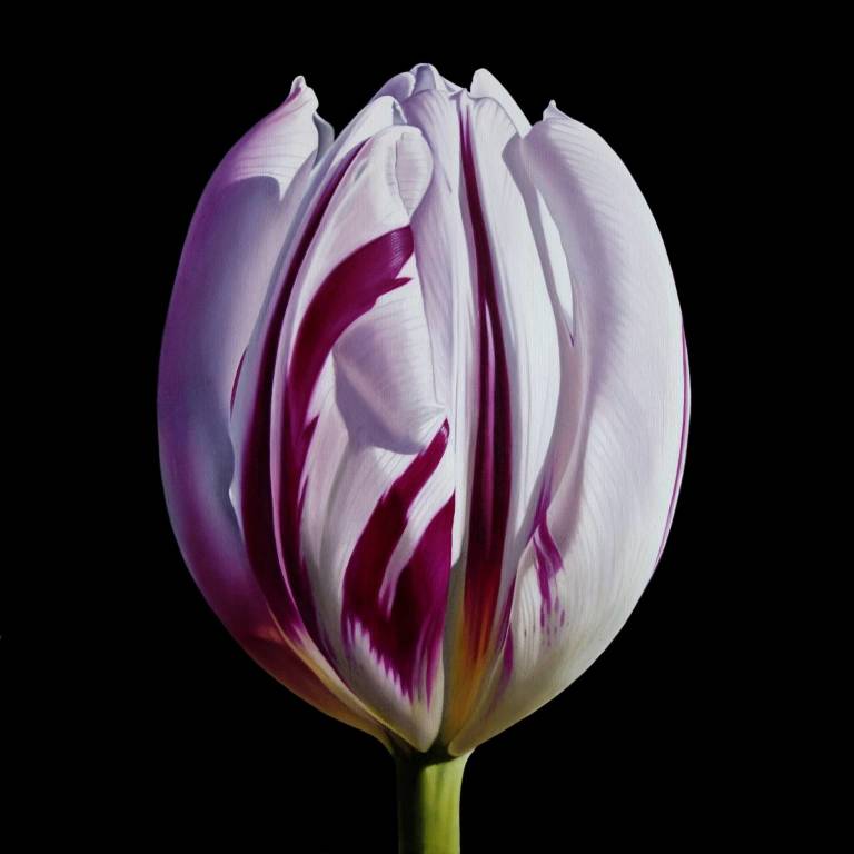 5 Artisti per la mostra “Ultrareale” da PUNTO SULL’ARTE