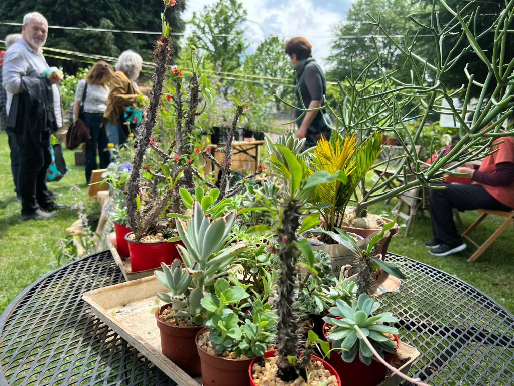 A Ispra in scena Infiorita 2022