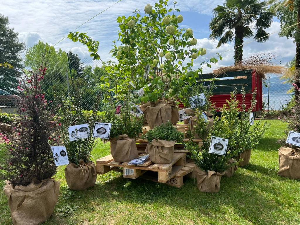 A Ispra in scena Infiorita 2022