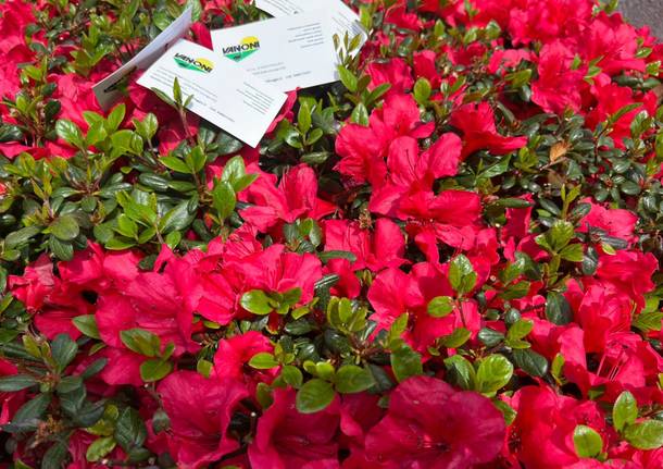 A Ispra in scena Infiorita 2022