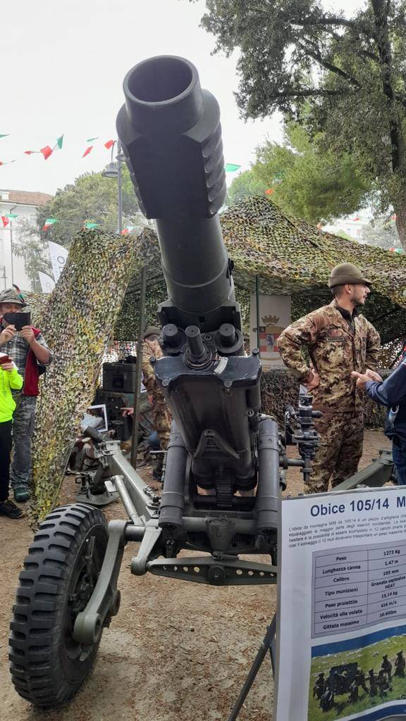 Alpini varesini in trasferta a Rimini per l'Adunata Nazionale numero 93