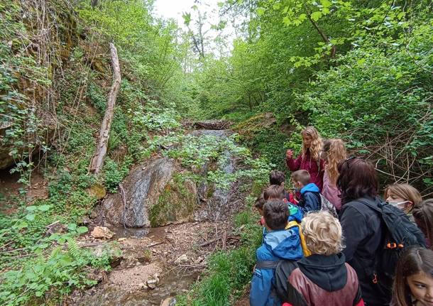 bambini in gita a bregazzana
