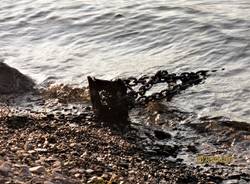 La spiaggia di Zenna