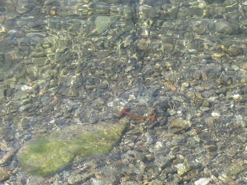 Zenna, la spiaggia dopo l\'intervento di messa in sicurezza