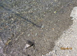 Zenna, la spiaggia dopo l\'intervento di messa in sicurezza