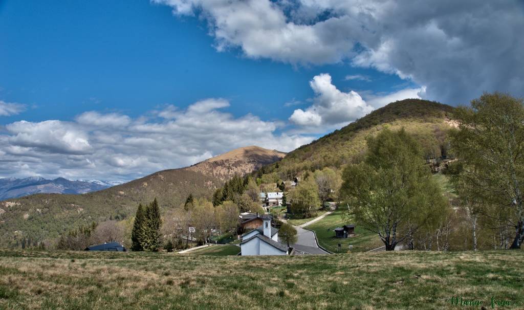 forfora - marino foina 