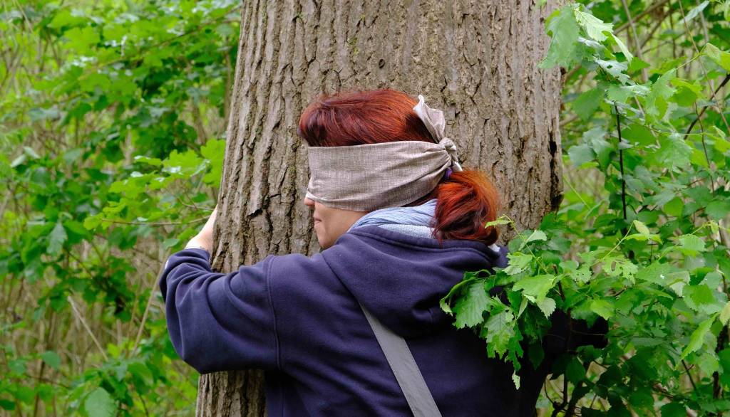 Gufi, yoga e scrittura nel bosco di Arona