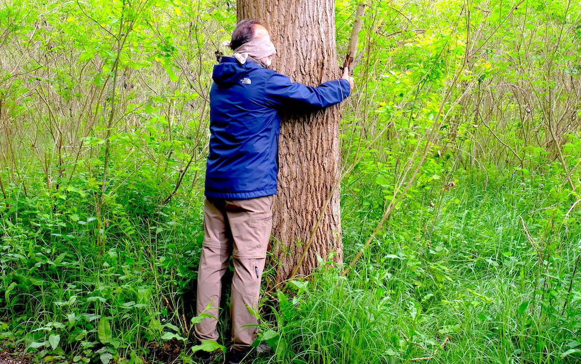 Gufi, yoga e scrittura nel bosco di Arona