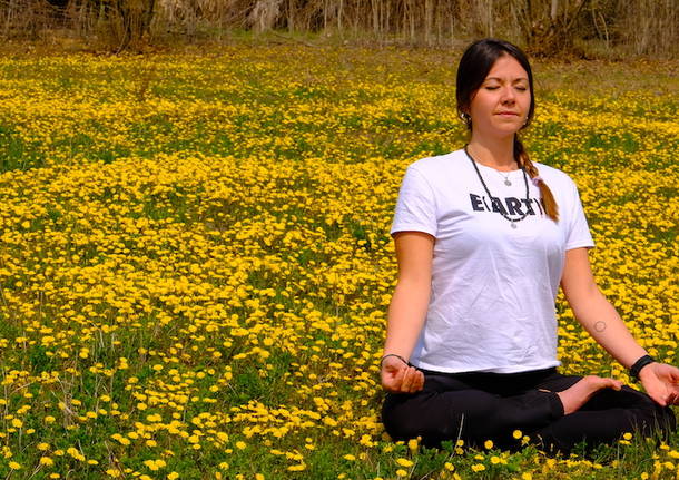 Gufi, yoga e scrittura nel bosco di Arona