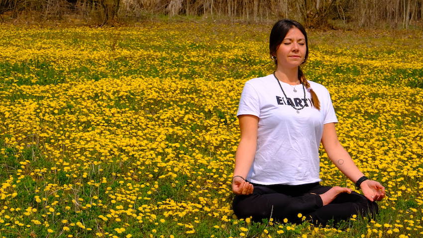 Gufi, yoga e scrittura nel bosco di Arona