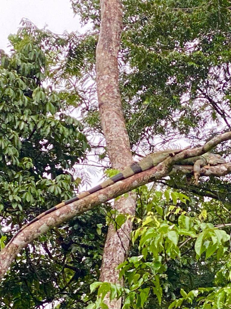 In viaggio col mercante: Costa Rica 