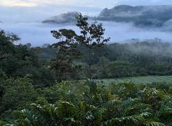 In viaggio col mercante: Costa Rica 