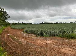 In viaggio col mercante: Costa Rica 