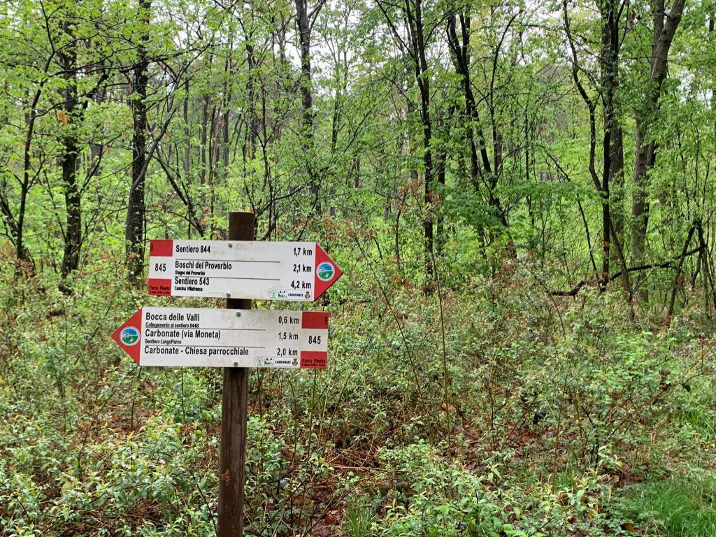 VA in giro tappa 11 Saronno Malnate
