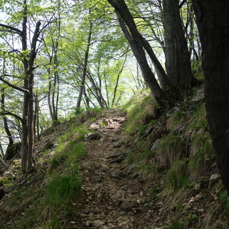 Va in giro tappa 13 Monte Orsa Monte Pravello