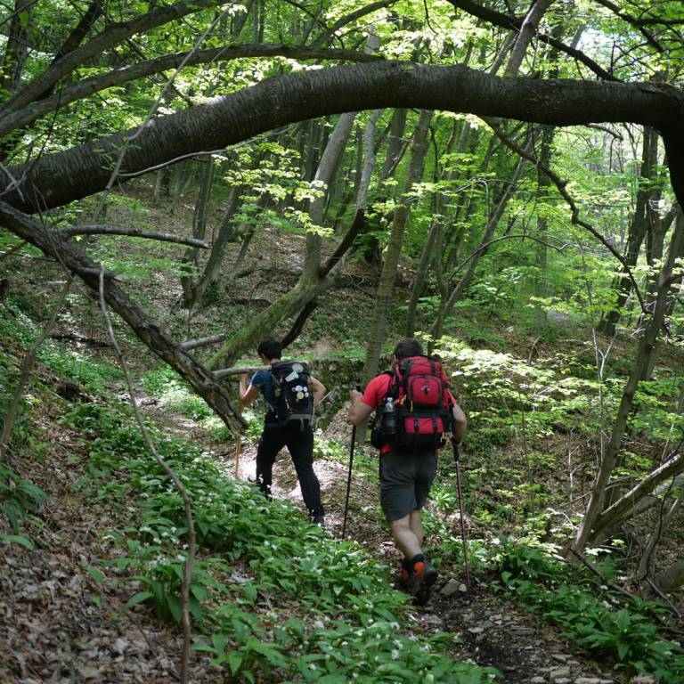 Va in giro tappa 13 Monte Orsa Monte Pravello