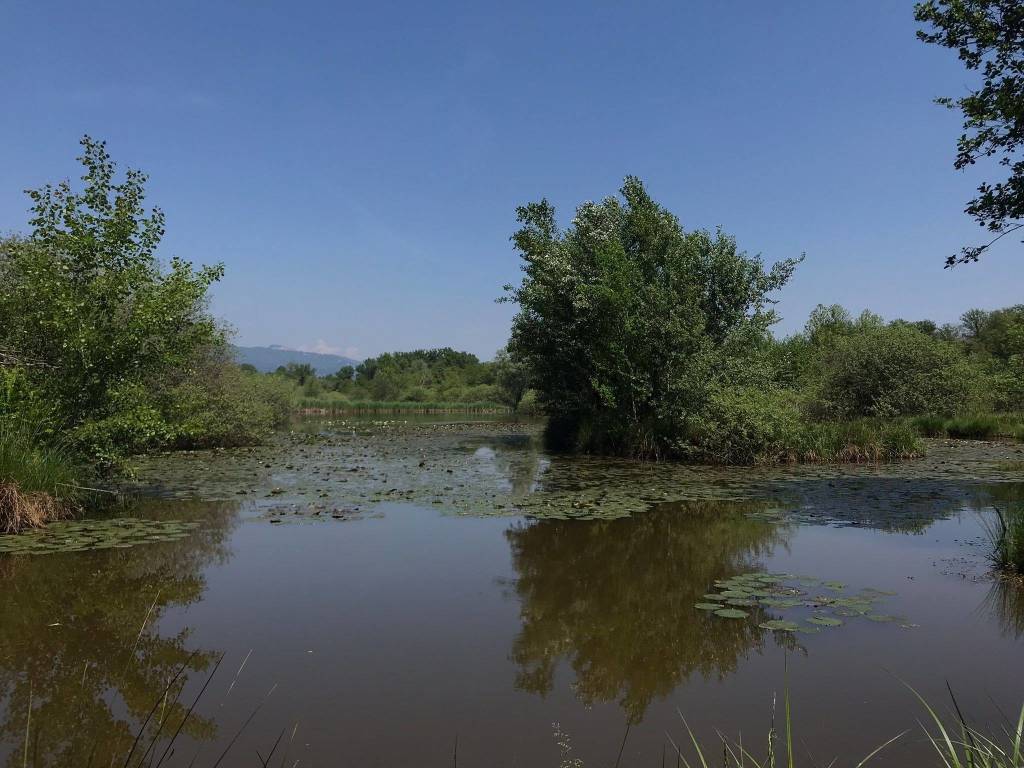 VA in giro tappa 15 Laghi di Varese Somma Lombardo