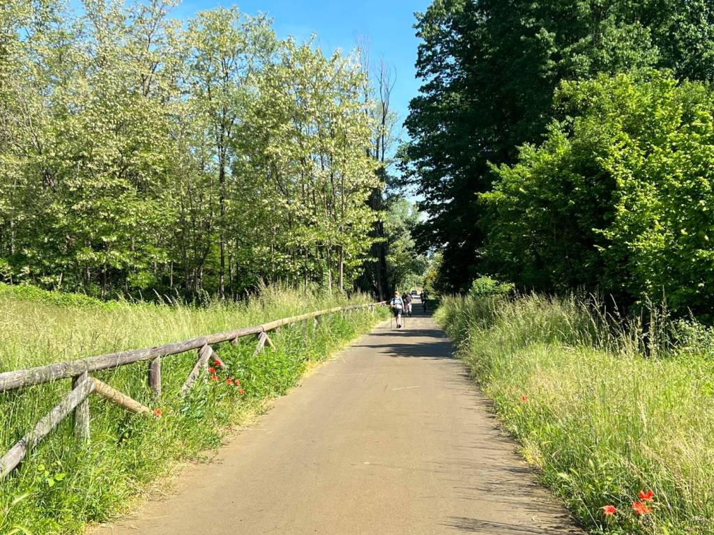 VA in giro tappa 20 Castiglione Busto Ariszio