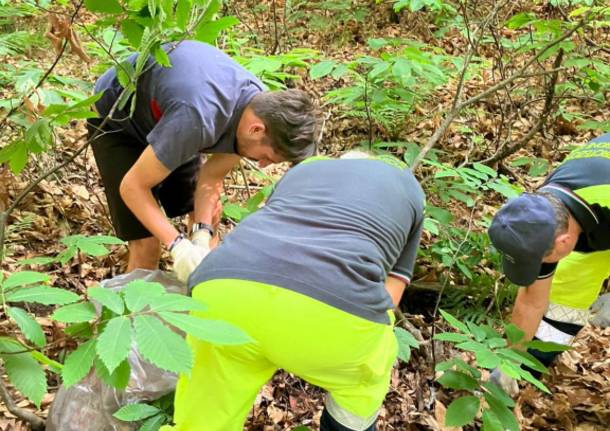 Verde Pulito - Taino - 22 maggio 2022