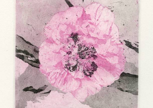 Generico 30 May 2022