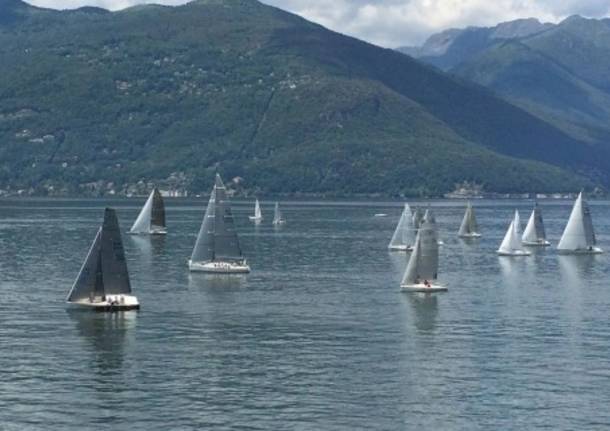 luino generiche