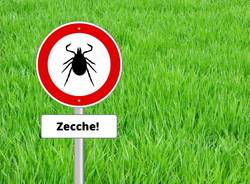 togliere una zecca