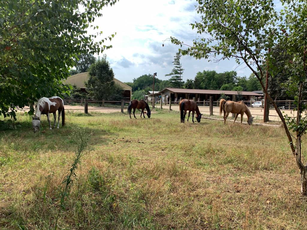 Brebbia tour 2022 luoghi