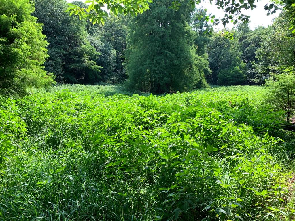 Brebbia tour 2022 luoghi