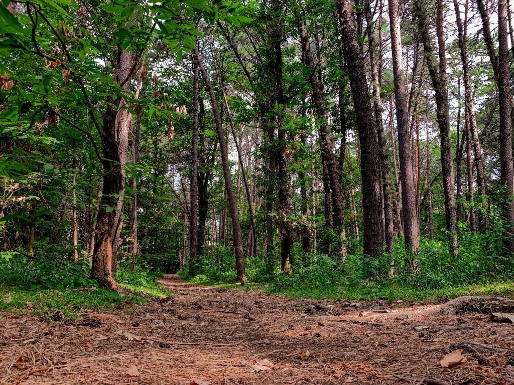 Brebbia tour 2022 luoghi