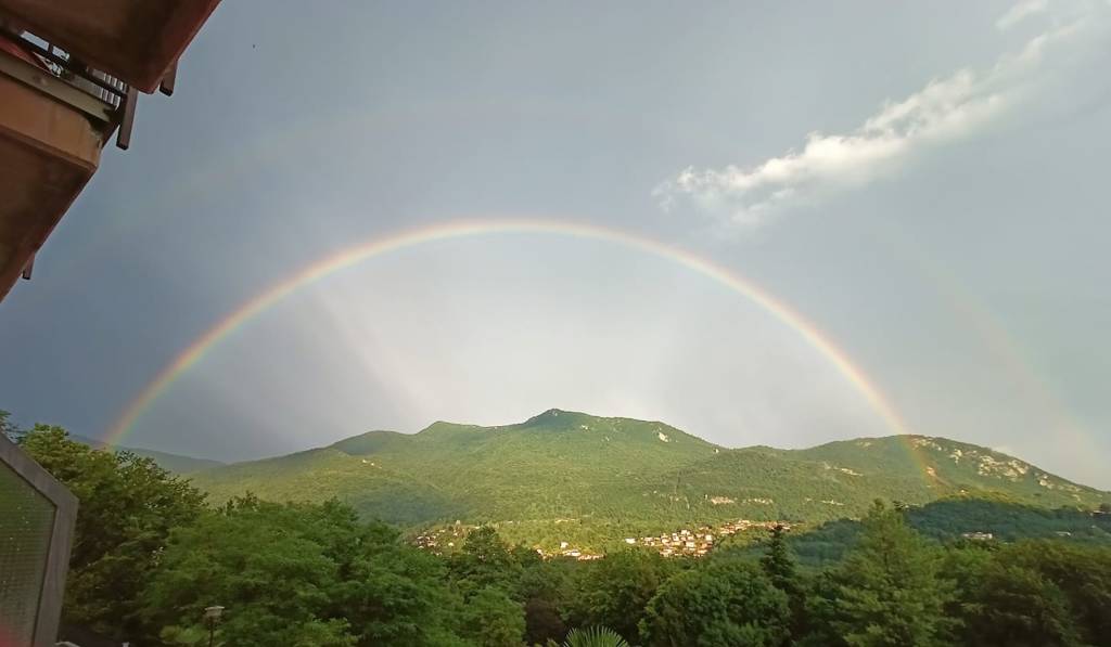 L\'arcobaleno dei lettori di VareseNews