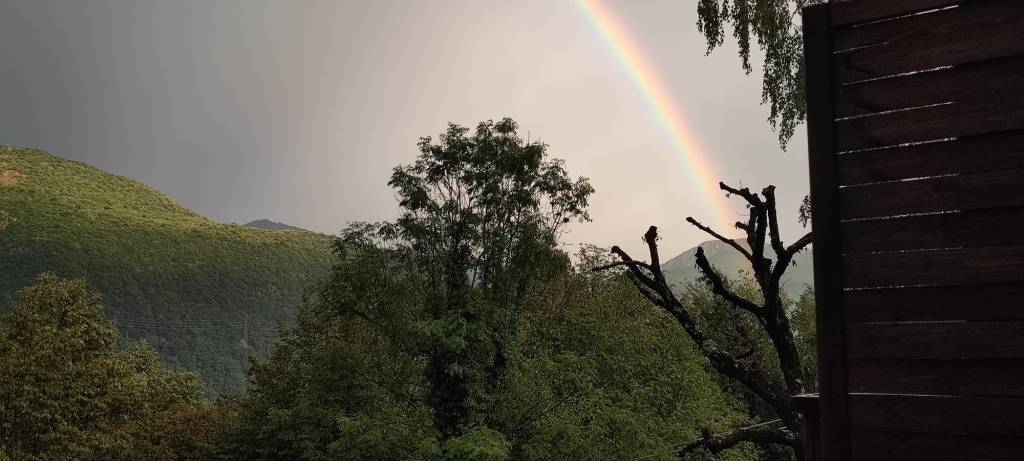 L\'arcobaleno dei lettori di VareseNews
