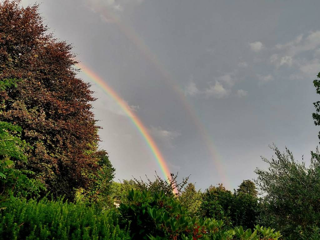L\'arcobaleno dei lettori di VareseNews
