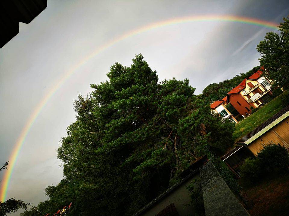 L\'arcobaleno dei lettori di VareseNews