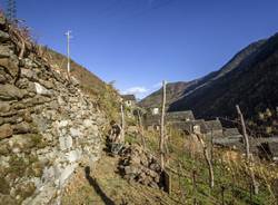 Escursione a Colloro con le guide della Val Grande