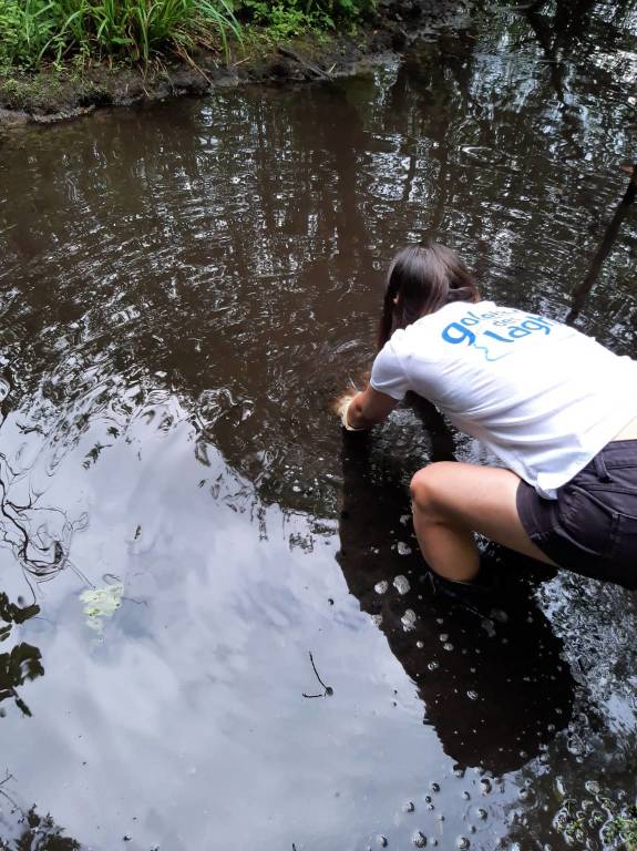 Goletta dei Laghi in Piemonte: oltre i limiti 13 dei 23 punti campionati