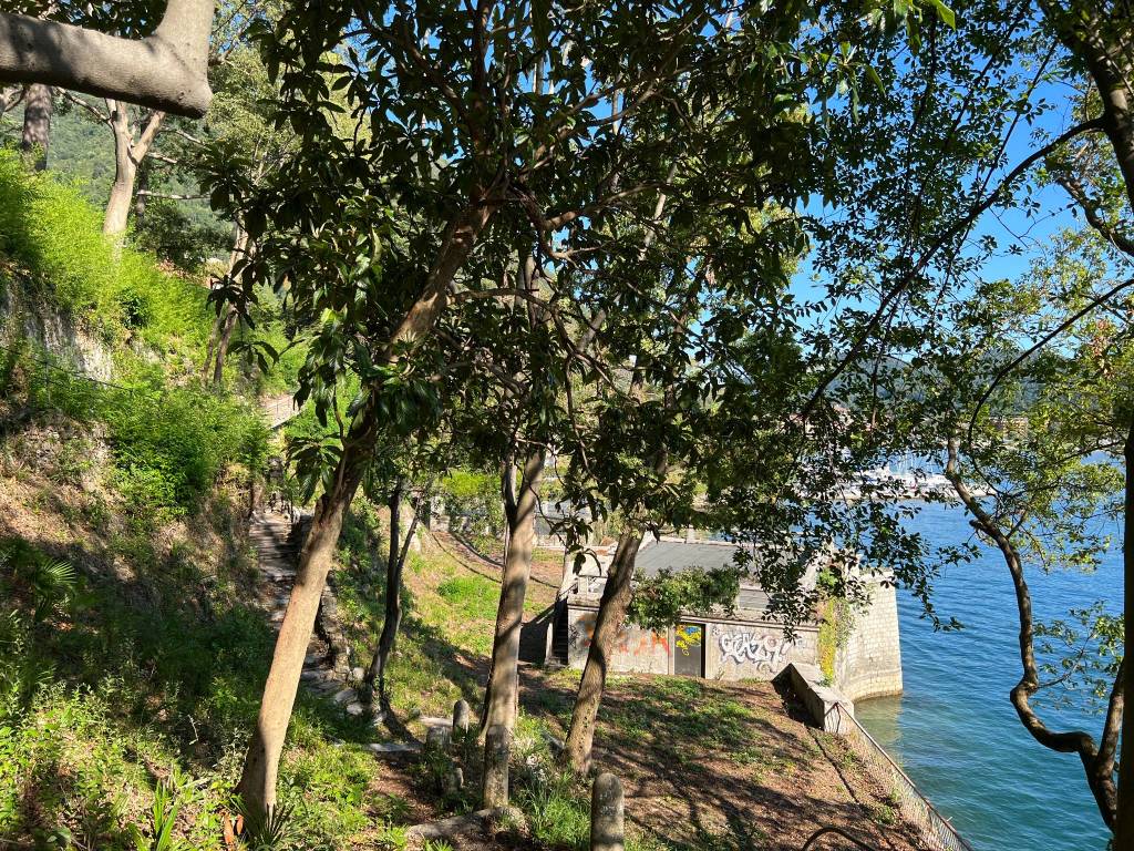 Il parco delle Torrazze e la passeggiata Romanini di laveno mombello
