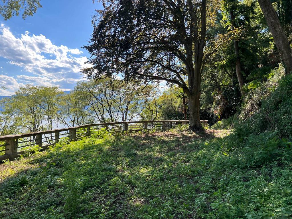 Il parco delle Torrazze e la passeggiata Romanini di laveno mombello 